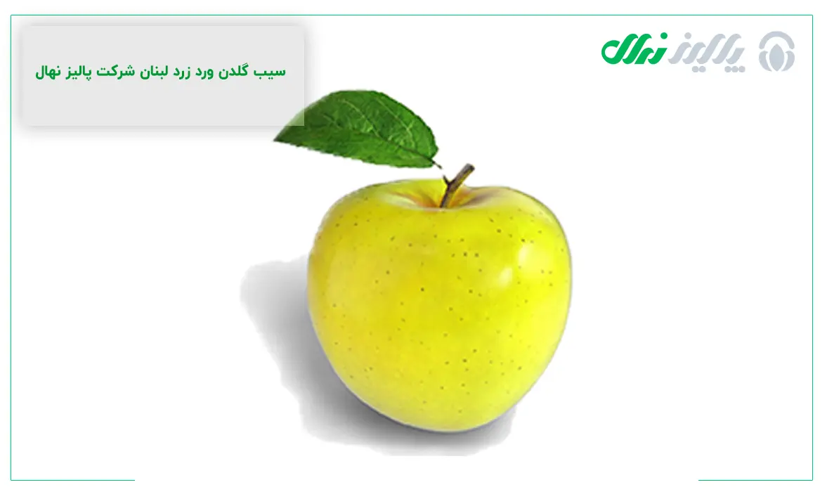 انواع سموم مناسبی که برای نابودی لکه سیاه درختان سیب استفاده می‌شوند