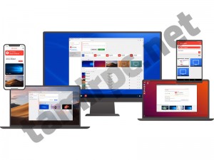 anydesk-shot.jpg