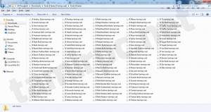 font-shot.jpg